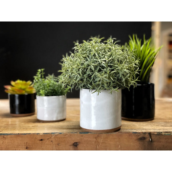 Pottery planters in both black and white glaze.
