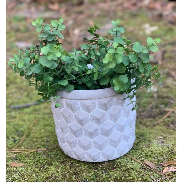 Unique outdoor planter with plant planted in it.