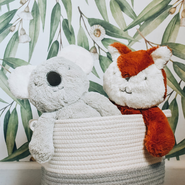 Fox stuffed animal. Perfect gift for kids. Fox and Koala in basket.