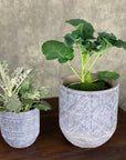 Planters and pots near me. Cement aboriginal print shown with larger version.