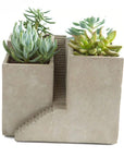 Unique planters and pots. Cement architectural designed pot with three planters.