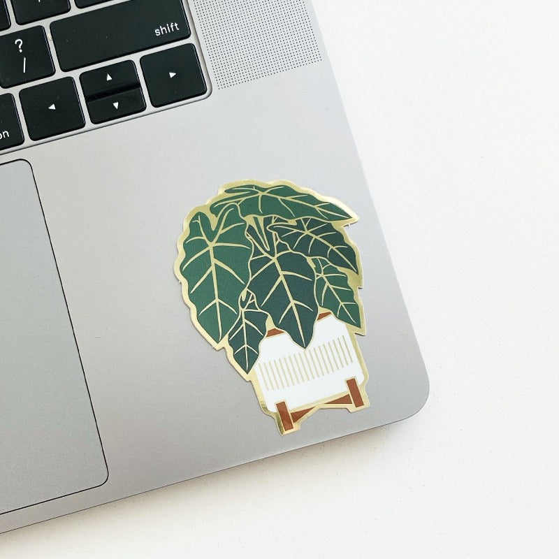House plant stickers. Alocasia sticker shown on laptop.