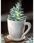 Creative plant pots. Cement tea mug in large size shown with succulent.