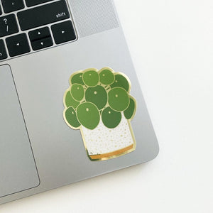Potted plant stickers. Pilea sticker shown on laptop.