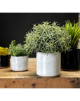 Pottery planters in both black and white glaze.