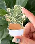 Tropical plant stickers. Model holding metallic banana leaf sticker.