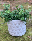 Unique outdoor planter with plant planted in it.